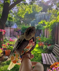 All In One Two Pack Bird Diaper Kit With Harness And 80 Inch Leash Waterproof Nappy Flight Suit on bird in garden