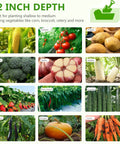 Images of various vegetables including corn, tomato, potato, cauliflower, garlic, radish, strawberry, green pepper, cucumber, eggplant, pumpkin, and carrot.