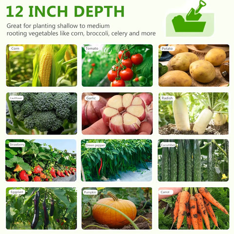 Images of various vegetables including corn, tomato, potato, cauliflower, garlic, radish, strawberry, green pepper, cucumber, eggplant, pumpkin, and carrot.