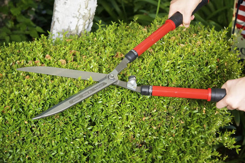 Person using Extendable Hedge Shear With 15 To 26 Inch Reach, 8.5 Inch Forged High Carbon Steel Blades on green hedge