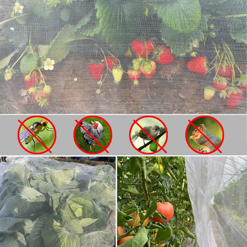 Four By Ten Foot Garden Netting Pest Barrier For Plants Keeps Bugs Out While Air Flows Fine Mesh 0.8mm x 1mm installed over plants