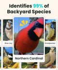 Smart Solar Powered Bird Feeder With Camera, Slow Motion Video And Night Insight, AI Identifies 6000 Plus Species display