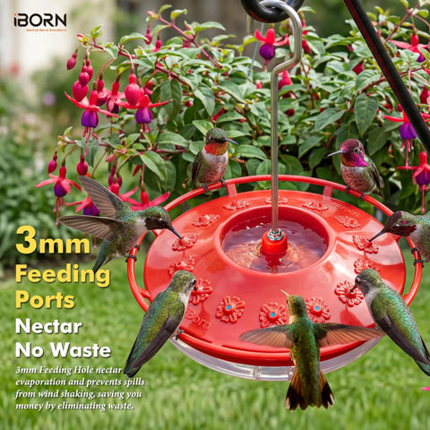 Bee Proof Hummingbird Feeder With Ant Moat And 14 Feeding Ports 13 Oz Saucer Style Outdoor Hanging Hummingbird Feeder For Gardens