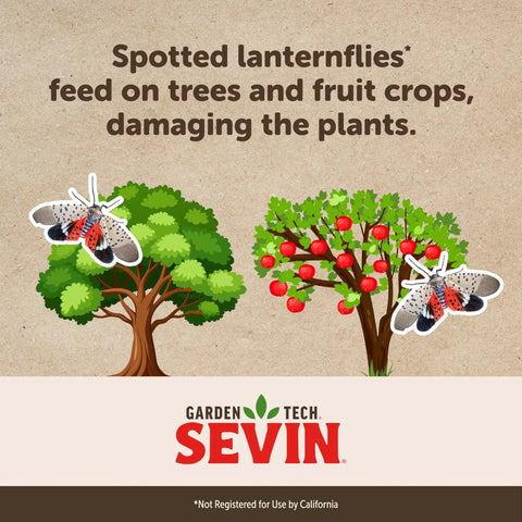 Illustration of trees and fruit crops with spotted lanternflies, promoting RTS Insect Killer Hose End Sprayer 32 Ounce.