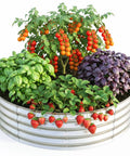 Galvanized Raised Garden Bed Kit 2x2x1 Ft No Fuss Setup Outdoor Planter Box for Vegetables Fruits and Flowers Easy Assembly for Balconies Patios and Yards Silver