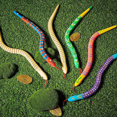 Painted wooden snakes from Ten Piece Unfinished Wooden Snakes Craft Kit With Jointed Wiggly Bodies, shown on grass background.