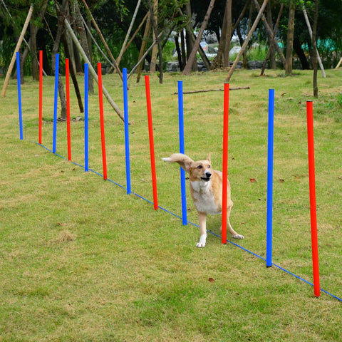 Dog navigating through All-In-One Dog Agility Training Kit With Adjustable Poles Jump Run Obedience Set on grass
