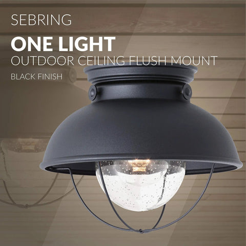 Sebring 8869-12 Outdoor Ceiling Flush Mount Light in Black Finish, close-up of single light fixture against wood backdrop.