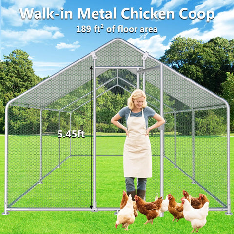 Large Outdoor Metal Chicken Coop With Walk In Run For Backyard Poultry, 19.19 By 9.84 By 6.56 Feet shown with person inside