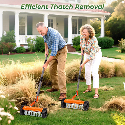 Couple using Roller Dethatching Rake With Wheels For Easy Push Across Your Lawn 76.8 Inch Adjustable Handle 2Mm Stainless Steel Blades on grass