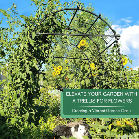 Sturdy 7 Foot Extra Tall Garden Arch Trellis For Climbing Plants Outdoor Use With Polyethylene Coated Stainless Steel Frame And Clips