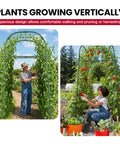 7 Foot Tall Garden Arch Trellis For Outdoor Climbing Plants with tomatoes and beans growing vertically, two people gardening