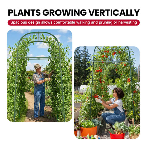 7 Foot Tall Garden Arch Trellis For Outdoor Climbing Plants with tomatoes and beans growing vertically, two people gardening