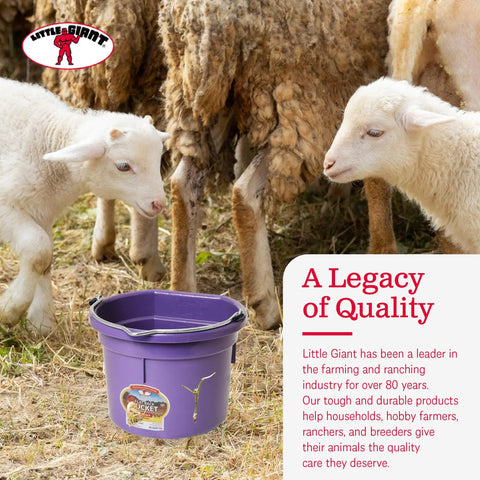 Purple 2 Gallon Heavy Duty Workhorse Plastic Buckets 2 Pack For Farm Home Laundry And Water With Flat Back Design Stacking Ribs And Easy Pour For Everyday Chores Around The House And Yard next to lambs