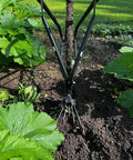 High Wheel Cultivator With Comfort Handle Three Position Adjustable Depth Quick Change Implements in use in garden soil
