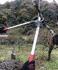 24.5 Inch Orchard Lopper with Long Reach Sharp High Carbon Blades cutting branch in garden