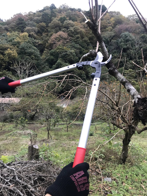 24.5 Inch Orchard Lopper with Long Reach Sharp High Carbon Blades cutting branch in garden