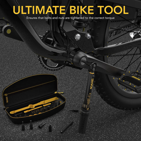 Bike Torque Wrench Set 1/4-Inch Drive, 15-Piece Kit With 72-Tooth Dual-Direction Click next to a bike frame with open case