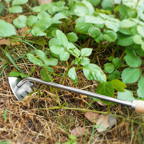 Stainless steel weeder tool from 3 Pack Pro Grade Stainless Steel Weed Puller Tools Set With L Shaped Crack Sickle in garden use
