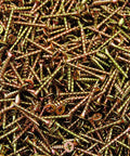 Pro Shop Grade Phillips Bugle Head Drywall Wood Screws In A Massive Bulk Pack Of 8000 1-1/4 Inch Coarse Thread Fasteners scattered.
