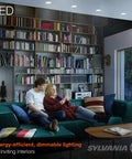 Living room with LED PAR38 Flood Light Bulb 13W Low Power Budget Friendly Energy Saver, 1175 Lumens Daylight 5000K, Dimmable