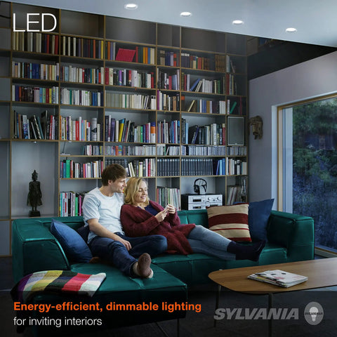 Living room with LED PAR38 Flood Light Bulb 13W Low Power Budget Friendly Energy Saver, 1175 Lumens Daylight 5000K, Dimmable