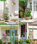 Indoor and outdoor views of Outdoor Climbing Plant Trellis Obelisk 6Ft Garden Support Tower with flowers in various settings.