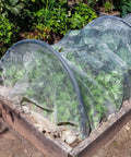 Ultra Fine Garden Netting 10 X 100 Ft Bird And Insect Barrier covering plants in raised garden bed