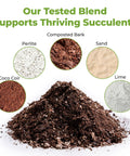 Ingredients of Premium Succulent And Cactus Soil Mix For Optimal Drainage featuring perlite, bark, sand, coco coir, lime.