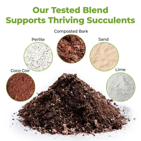 Ingredients of Premium Succulent And Cactus Soil Mix For Optimal Drainage featuring perlite, bark, sand, coco coir, lime.