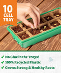 Using 10-Cell Greenhouse Germination Kit for Home Gardens With Biodegradable Pots and Vented Lid on wooden table
