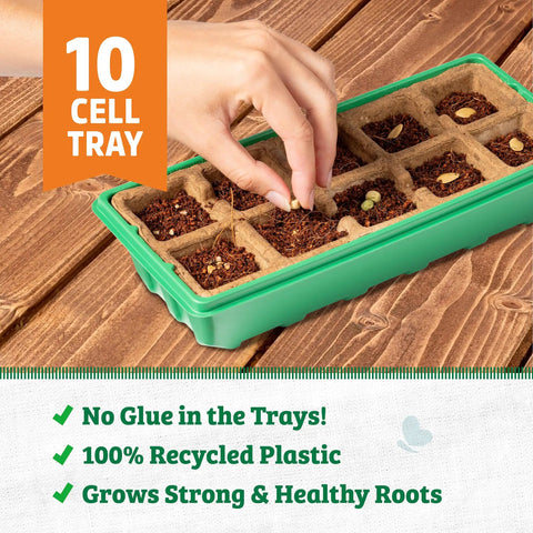 Using 10-Cell Greenhouse Germination Kit for Home Gardens With Biodegradable Pots and Vented Lid on wooden table