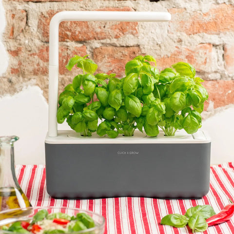 Smart Garden Basil Plant Pods 3 Pack For Indoor Herb Gardens No Green Thumb Needed Fresh Basil At Home Easy Nutritious Kitchen Herb Pods For Quick Flavorful Dishes