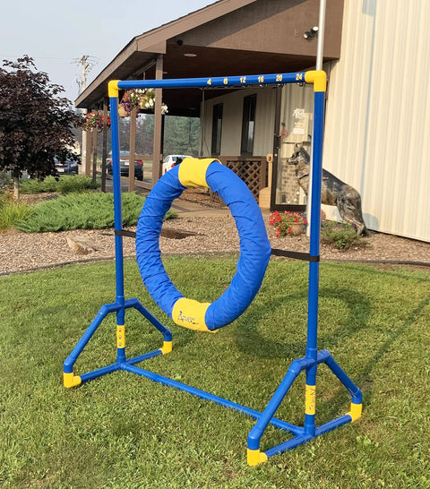 Endurance Agility Tire Jump for Dogs With Lightweight PVC Frame for Indoor or Outdoor Training Standard Tire Included