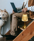 Cordless Table Lamp With Rechargeable Battery, LED Touch Lamp in gold, placed beside a person using a laptop and a dog