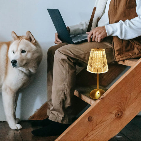 Person using Cordless Led Table Lamp With 4000mAh Battery, 3 Color Modes, Stepless Dimming, Touch Control, Portable Crystal Metal Bedside Light for Bedroom, Restaurant, and Outdoor Use, Gold next to a dog on stairs.