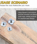 180 Pcs T Nuts Set With 4 Pronged Blind T Nuts In 1/4-20, 5/16-18, 3/8-16 Sizes Pro Grade Zinc Plated Alloy Steel For Woodworking Projects, Furniture Hardware, Rock Climbing Holds And Threaded Insertion on wood board