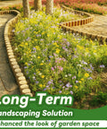 Flexible Landscape Edging Kit With Anchoring Spikes For Flower Beds Lawns Gardens And Pathways defining garden border