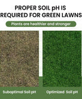 Comparison of lawn grass with suboptimal and optimized soil pH using Easy At Home Soil Test Kit For Garden Lawn And Flower Beds.