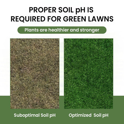 Comparison of lawn grass with suboptimal and optimized soil pH using Easy At Home Soil Test Kit For Garden Lawn And Flower Beds.