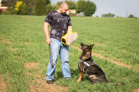 Trainer holding Durable Dog Bite Sleeve For Medium To Large Breeds Pro Training Gear For German Shepherds And Pitbulls.