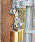 Heavy dual padlock setup on gate with 10 gauge steel locking hasp for two users, Keep Your Perimeter Locked And Loaded With This Heavy Dual Padlock Setup That Skips The Daisy Chain Drama And Gives Two Folks Smooth Shared Gate Access Daily.