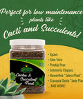 Cactus And Succulent Plant Food For Indoor And Outdoor Plants No Fuss Low Maintenance Fertilizer That Feeds Every Other Month All Purpose Cacti Fertilizer With Rich Nutrients For Healthy Growth, 2 lb jar