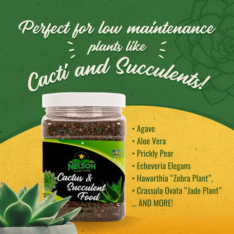 Cactus And Succulent Plant Food For Indoor And Outdoor Plants No Fuss Low Maintenance Fertilizer That Feeds Every Other Month All Purpose Cacti Fertilizer With Rich Nutrients For Healthy Growth, 2 lb jar