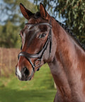 Warmblood horse wearing ComFiTec Vogue Anatomical Bridle With Ultra Soft Padding Headpiece, Brown Horse Tack, side view outdoors.