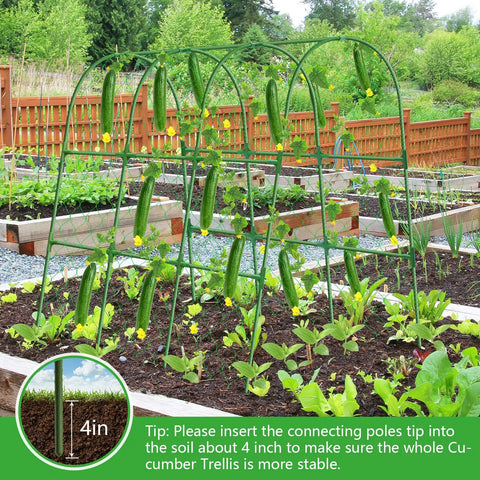Heavy Duty 48x48 Inch U Shape Metal Garden Trellis For Raised Beds With Adjustable Angle Arch Design Climbing Plant Support