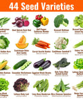 44 Seed Varieties for Seed Vault Bundle With 44 Heirloom Seeds For Vegetables Fruits And Herbs Non GMO Garden Kit