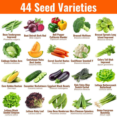 44 Seed Varieties for Seed Vault Bundle With 44 Heirloom Seeds For Vegetables Fruits And Herbs Non GMO Garden Kit