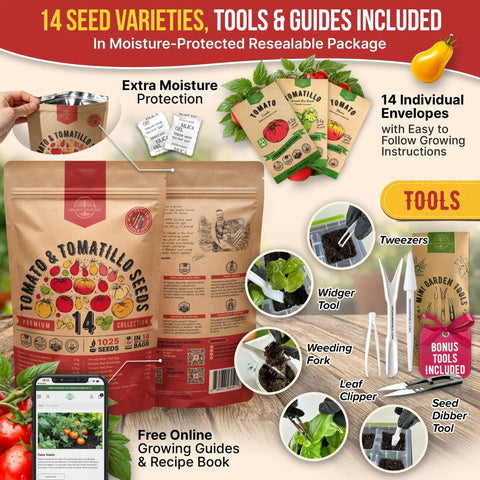 14 Rare Tomato And Tomatillo Garden Seeds Variety Pack With Over 1025 Non GMO Heirloom Seeds For Outdoor And Indoor Home Gardening Perfect For Backyards And Indoor Grow Setups with tools, guides, and resealable bag.