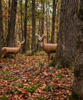 Durable Self Healing Foam Buck Deer 3D Archery Target in forest setting, visible self-healing foam structure for realistic practice